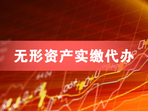 固原无形资产实缴资本代办