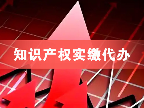 固原知识产权实缴资本代办